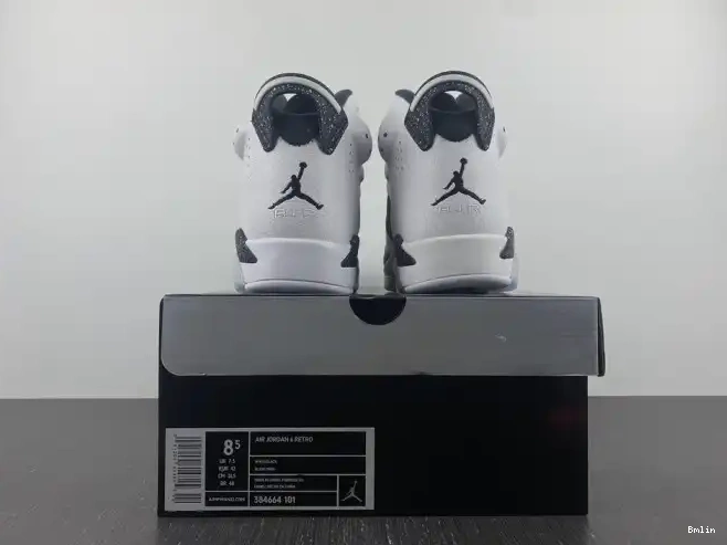 Bmlin Retro Oreo Jordan 6 384664-101 0610